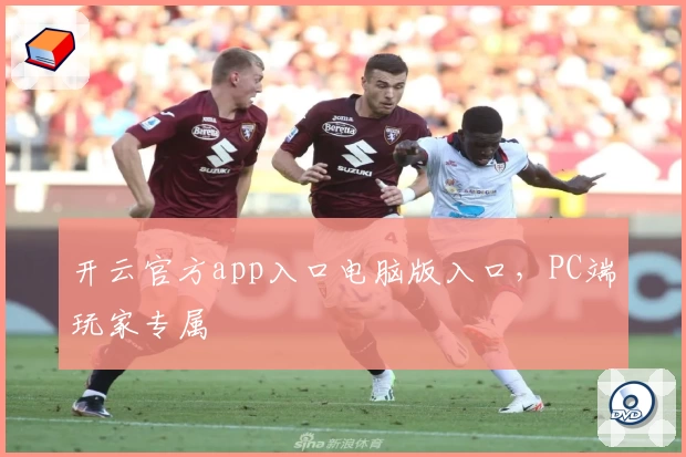 开云官方app入口电脑版入口，PC端玩家专属